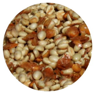 café descascado sem desmucilar