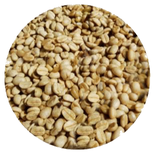 café descascado desmucilado