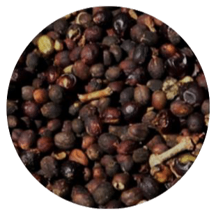 café sem descascar de chão varrição