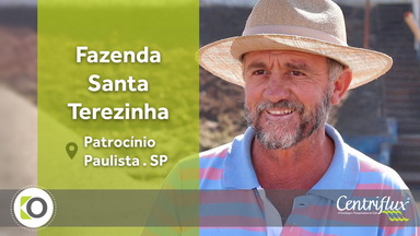 vídeo depoimento fazenda santa terezinha