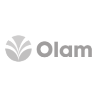 olam
