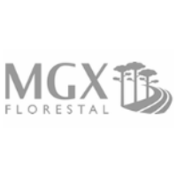 mgx florestal