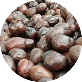 natural rope coffee fruit by controlled fermentation